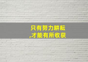 只有努力耕耘,才能有所收获