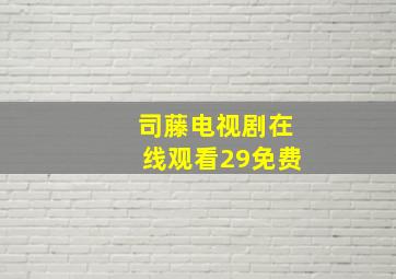 司藤电视剧在线观看29免费