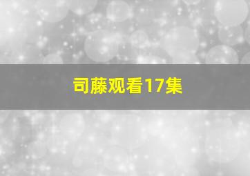 司藤观看17集