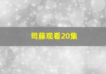 司藤观看20集