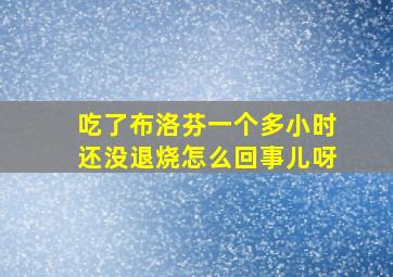 吃了布洛芬一个多小时还没退烧怎么回事儿呀