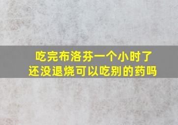 吃完布洛芬一个小时了还没退烧可以吃别的药吗