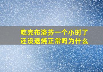 吃完布洛芬一个小时了还没退烧正常吗为什么