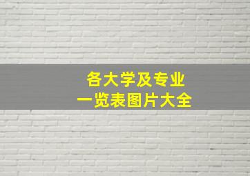 各大学及专业一览表图片大全