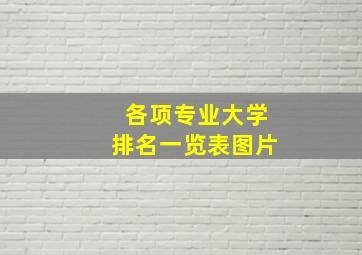 各项专业大学排名一览表图片