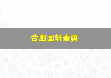 合肥国轩秦勇