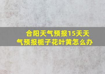 合阳天气预报15天天气预报栀子花叶黄怎么办