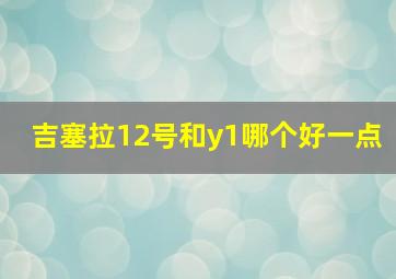 吉塞拉12号和y1哪个好一点