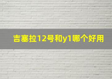 吉塞拉12号和y1哪个好用