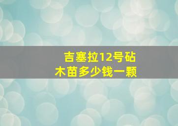 吉塞拉12号砧木苗多少钱一颗