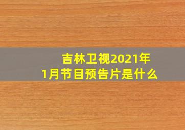 吉林卫视2021年1月节目预告片是什么