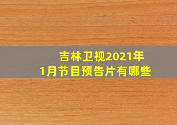 吉林卫视2021年1月节目预告片有哪些