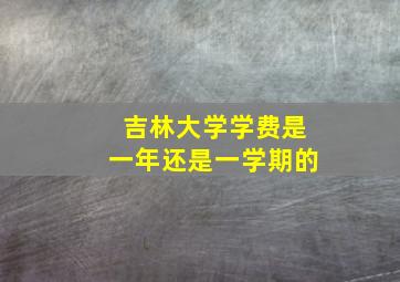 吉林大学学费是一年还是一学期的