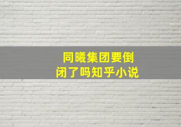 同曦集团要倒闭了吗知乎小说