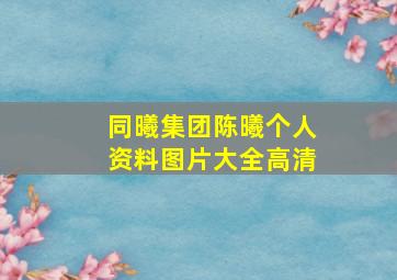 同曦集团陈曦个人资料图片大全高清