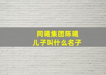 同曦集团陈曦儿子叫什么名子