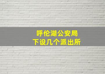 呼伦湖公安局下设几个派出所