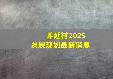 呼延村2025发展规划最新消息