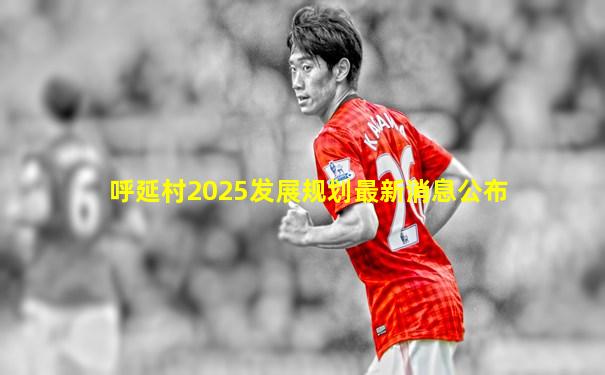 呼延村2025发展规划最新消息公布