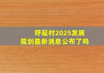 呼延村2025发展规划最新消息公布了吗