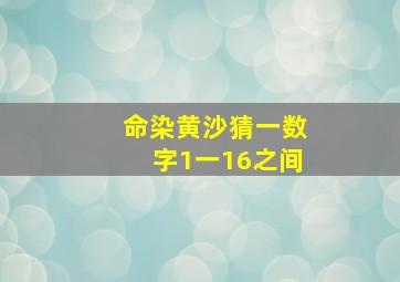 命染黄沙猜一数字1一16之间