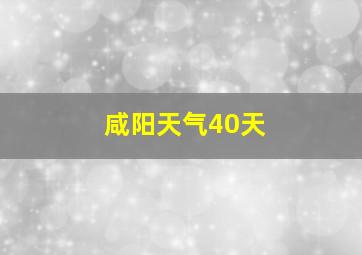 咸阳天气40天