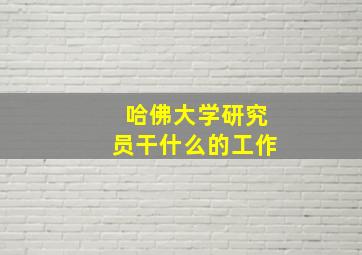 哈佛大学研究员干什么的工作