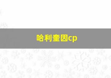 哈利奎因cp