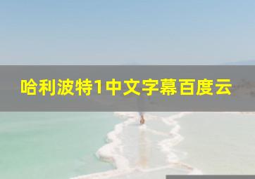 哈利波特1中文字幕百度云