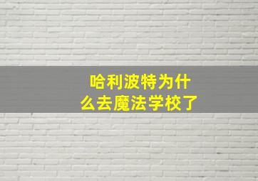 哈利波特为什么去魔法学校了