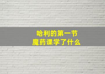 哈利的第一节魔药课学了什么