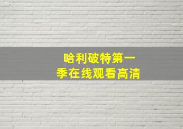 哈利破特第一季在线观看高清