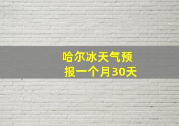 哈尔冰天气预报一个月30天