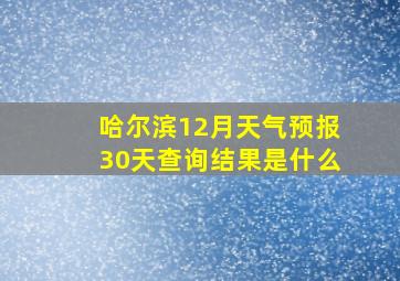 哈尔滨12月天气预报30天查询结果是什么