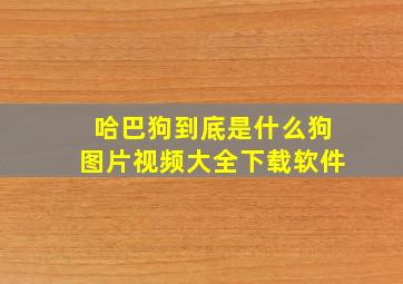 哈巴狗到底是什么狗图片视频大全下载软件