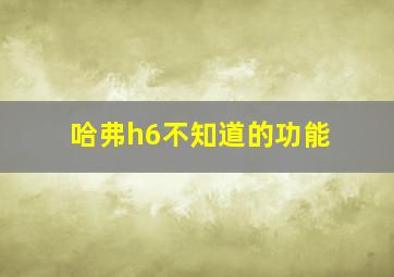 哈弗h6不知道的功能