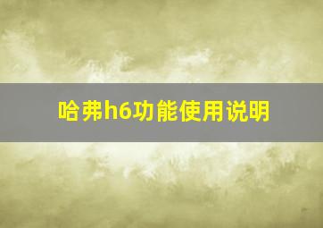 哈弗h6功能使用说明