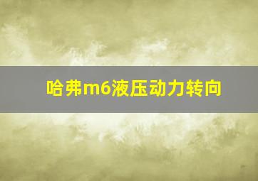 哈弗m6液压动力转向