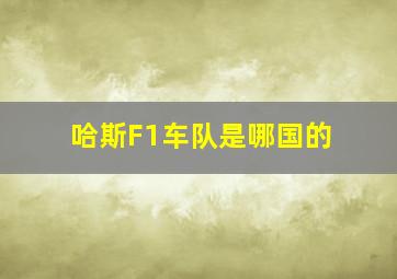 哈斯F1车队是哪国的