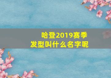 哈登2019赛季发型叫什么名字呢