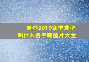 哈登2019赛季发型叫什么名字呢图片大全