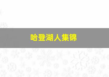 哈登湖人集锦