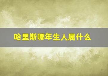 哈里斯哪年生人属什么