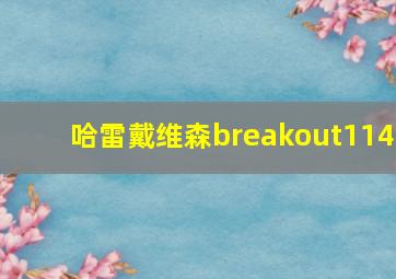 哈雷戴维森breakout114