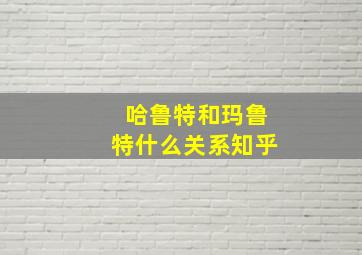 哈鲁特和玛鲁特什么关系知乎