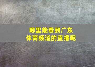 哪里能看到广东体育频道的直播呢