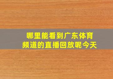 哪里能看到广东体育频道的直播回放呢今天