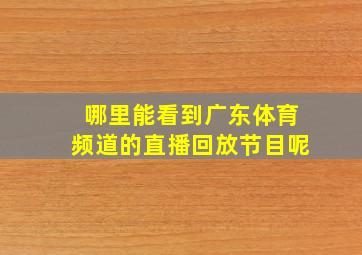 哪里能看到广东体育频道的直播回放节目呢