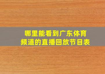 哪里能看到广东体育频道的直播回放节目表