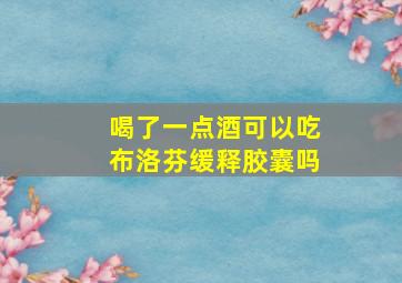 喝了一点酒可以吃布洛芬缓释胶囊吗